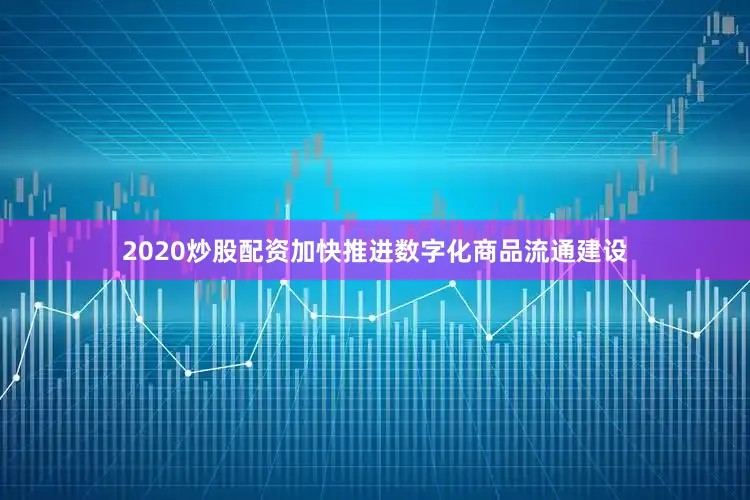 2020炒股配资加快推进数字化商品流通建设
