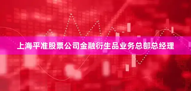 上海平准股票公司金融衍生品业务总部总经理