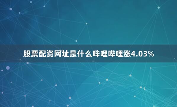 股票配资网址是什么哔哩哔哩涨4.03%