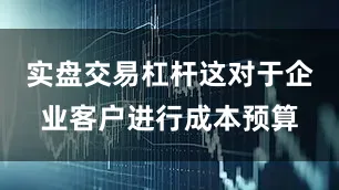 实盘交易杠杆这对于企业客户进行成本预算