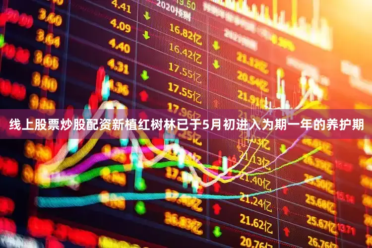 线上股票炒股配资新植红树林已于5月初进入为期一年的养护期