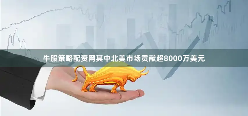 牛股策略配资网其中北美市场贡献超8000万美元