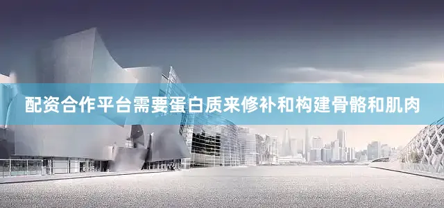 配资合作平台需要蛋白质来修补和构建骨骼和肌肉